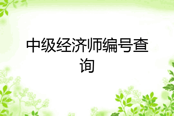 中级经济师编号查询