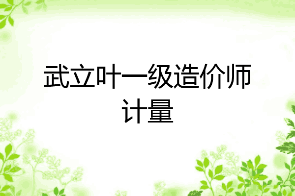 武立叶一级造价师计量
