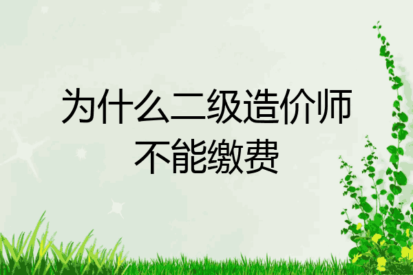 为什么二级造价师不能缴费
