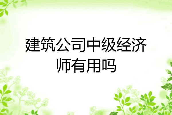 建筑公司中级经济师有用吗