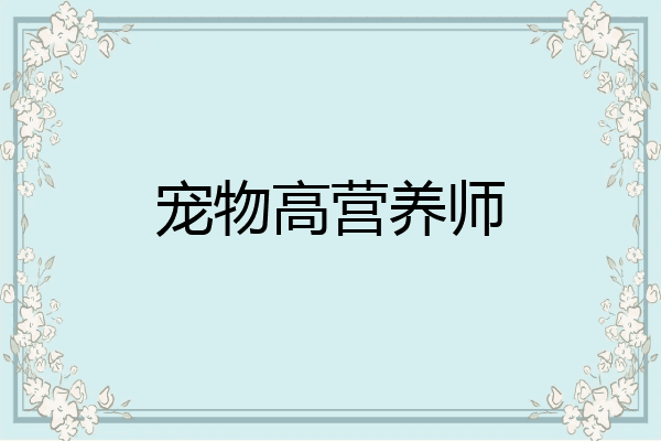 宠物高营养师