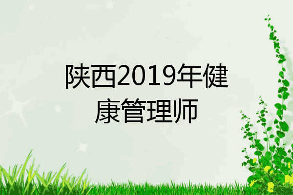 陕西2019年健康管理师