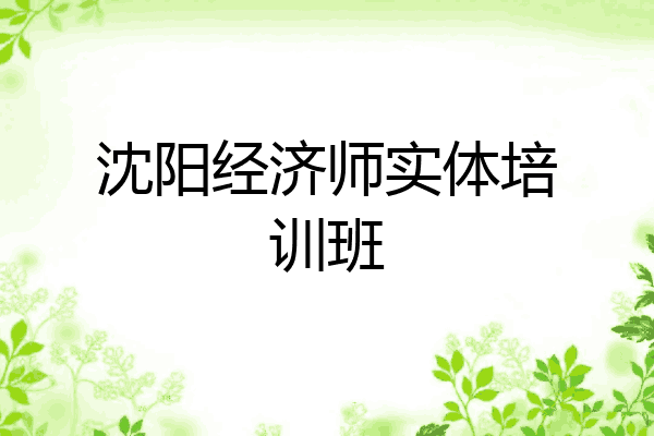沈阳经济师实体培训班