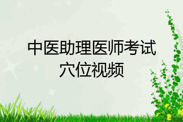 中医助理医师考试穴位视频