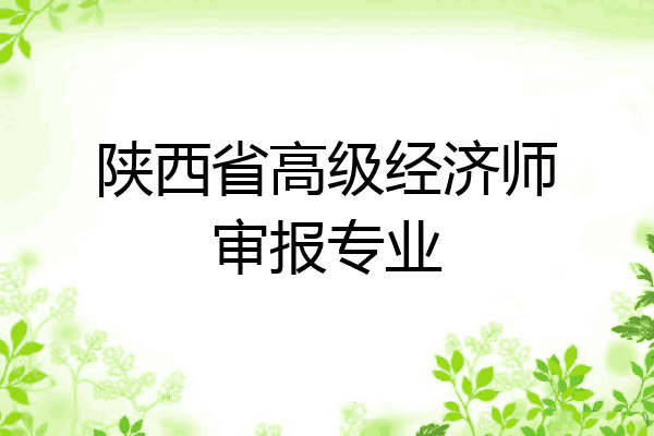 陕西省高级经济师审报专业