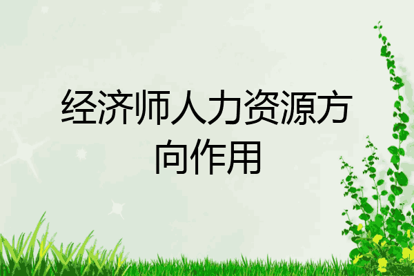 经济师人力资源方向作用