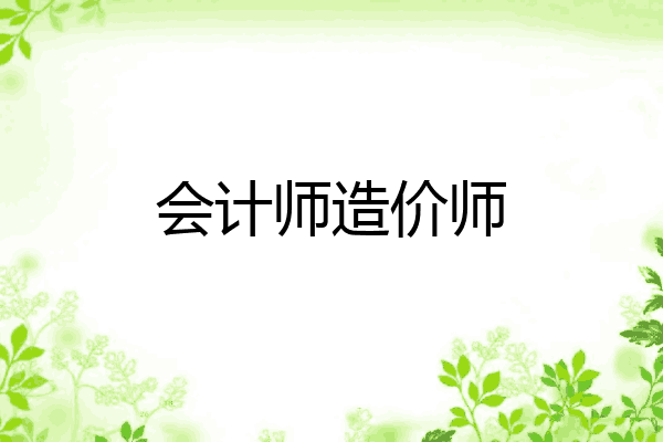 会计师造价师