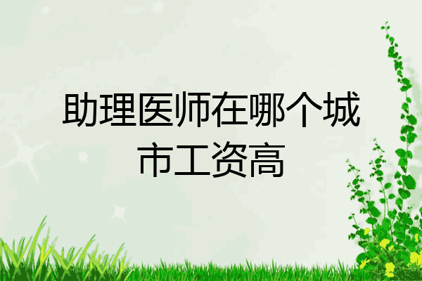 助理医师在哪个城市工资高