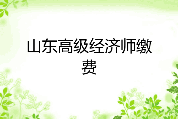 山东高级经济师缴费