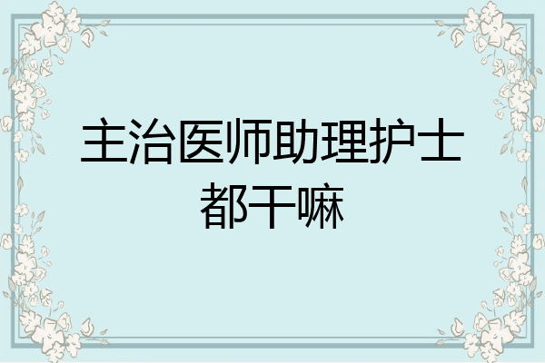 主治医师助理护士都干嘛