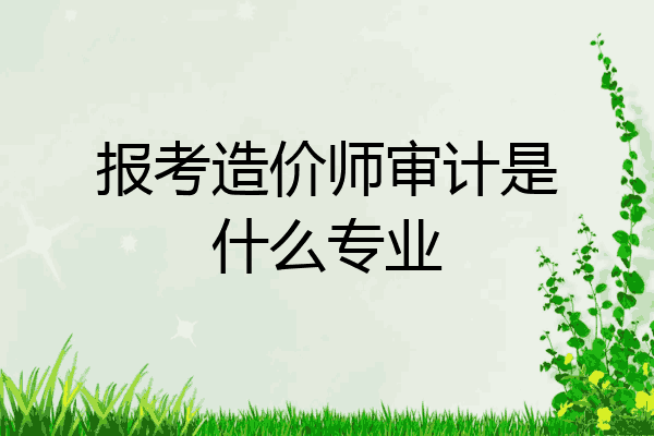 报考造价师审计是什么专业