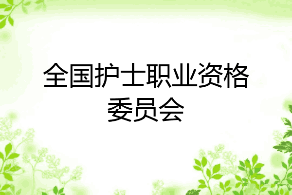 全国护士职业资格委员会