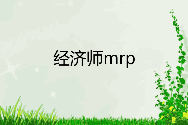 经济师mrp