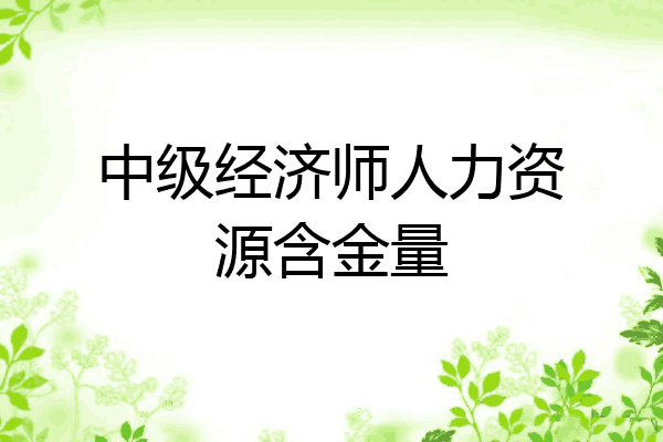 中级经济师人力资源含金量