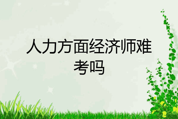 人力方面经济师难考吗