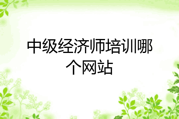 中级经济师培训哪个网站