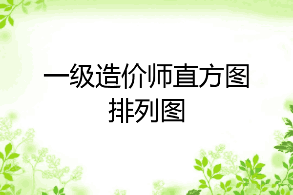 一级造价师直方图排列图