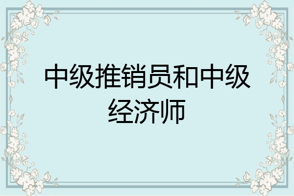 中级推销员和中级经济师