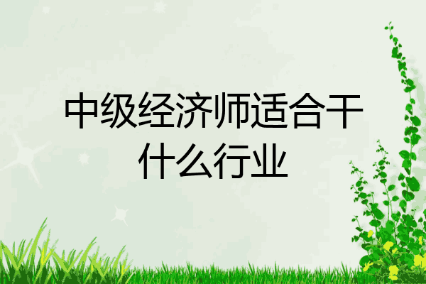 中级经济师适合干什么行业