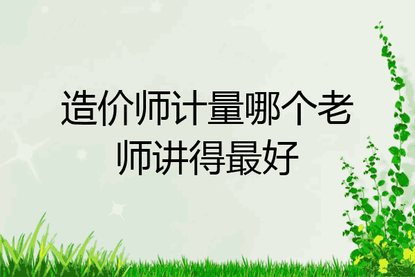 造价师计量哪个老师讲得最好