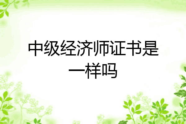 中级经济师证书是一样吗