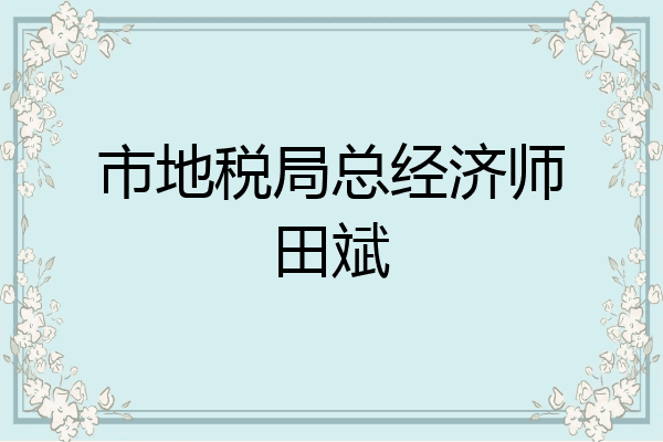 市地税局总经济师田斌