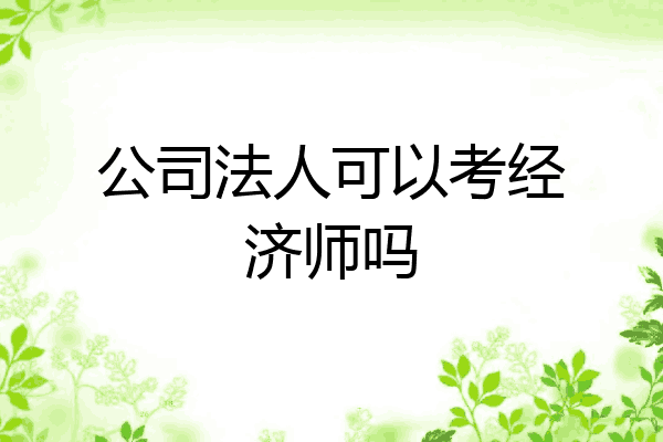 公司法人可以考经济师吗