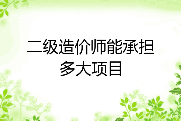 二级造价师能承担多大项目