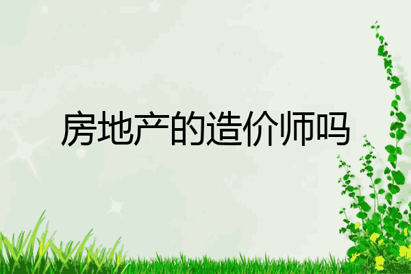 房地产的造价师吗