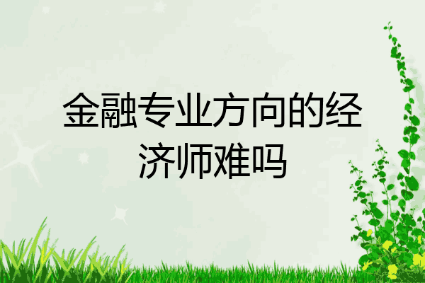 金融专业方向的经济师难吗
