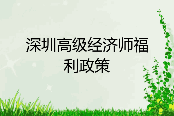 深圳高级经济师福利政策