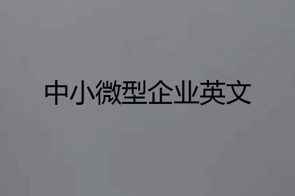 中小微型企业英文