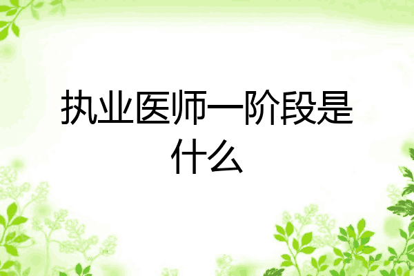执业医师一阶段是什么