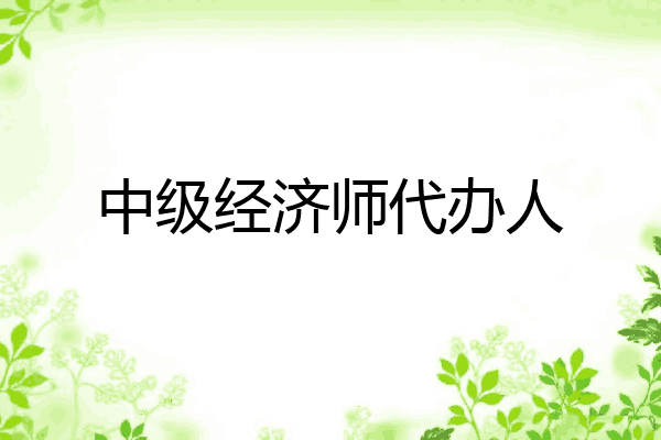 中级经济师代办人