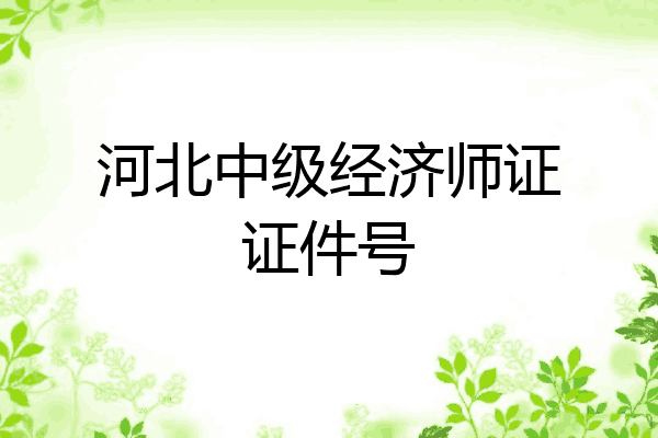 河北中级经济师证证件号