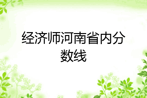 经济师河南省内分数线