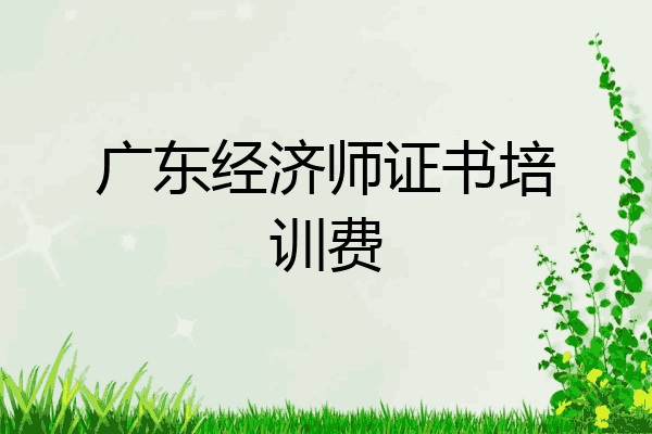 广东经济师证书培训费
