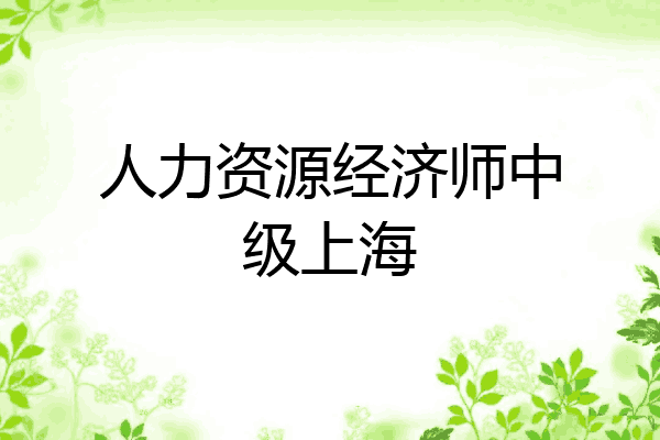 人力资源经济师中级上海