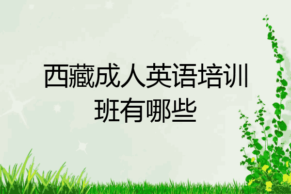 西藏成人英语培训班有哪些