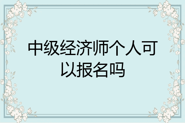 中级经济师个人可以报名吗