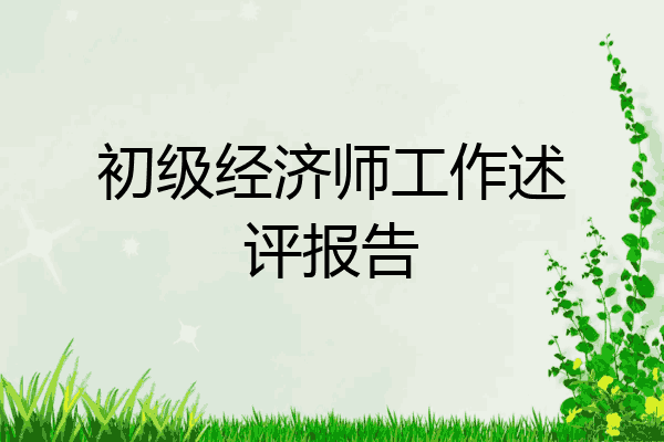 初级经济师工作述评报告