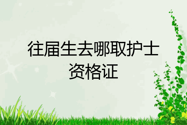 往届生去哪取护士资格证