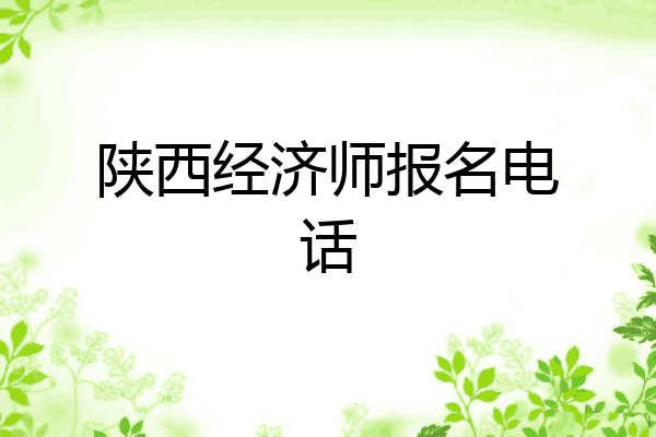 陕西经济师报名电话