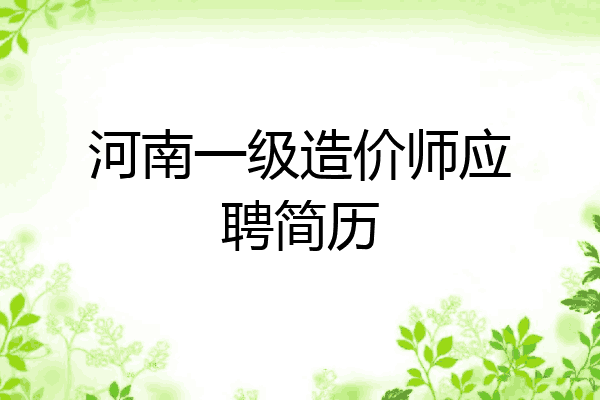 河南一级造价师应聘简历