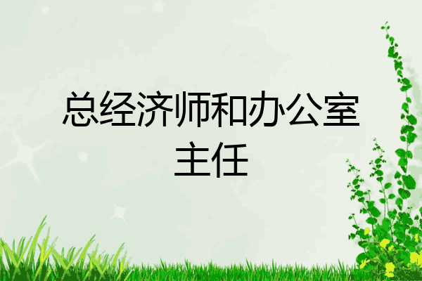 总经济师和办公室主任