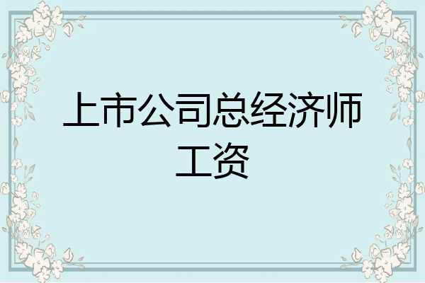 上市公司总经济师工资