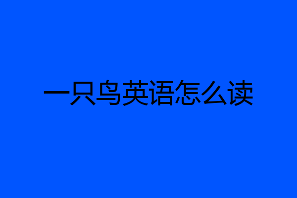 一只鸟英语怎么读