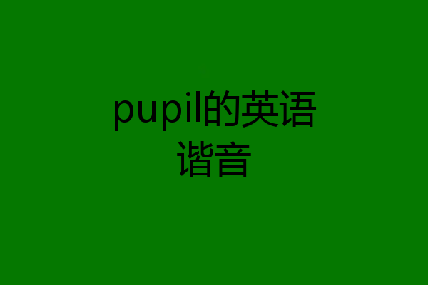 pupil的英语谐音
