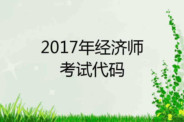 2017年经济师考试代码