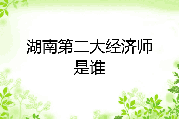 湖南第二大经济师是谁